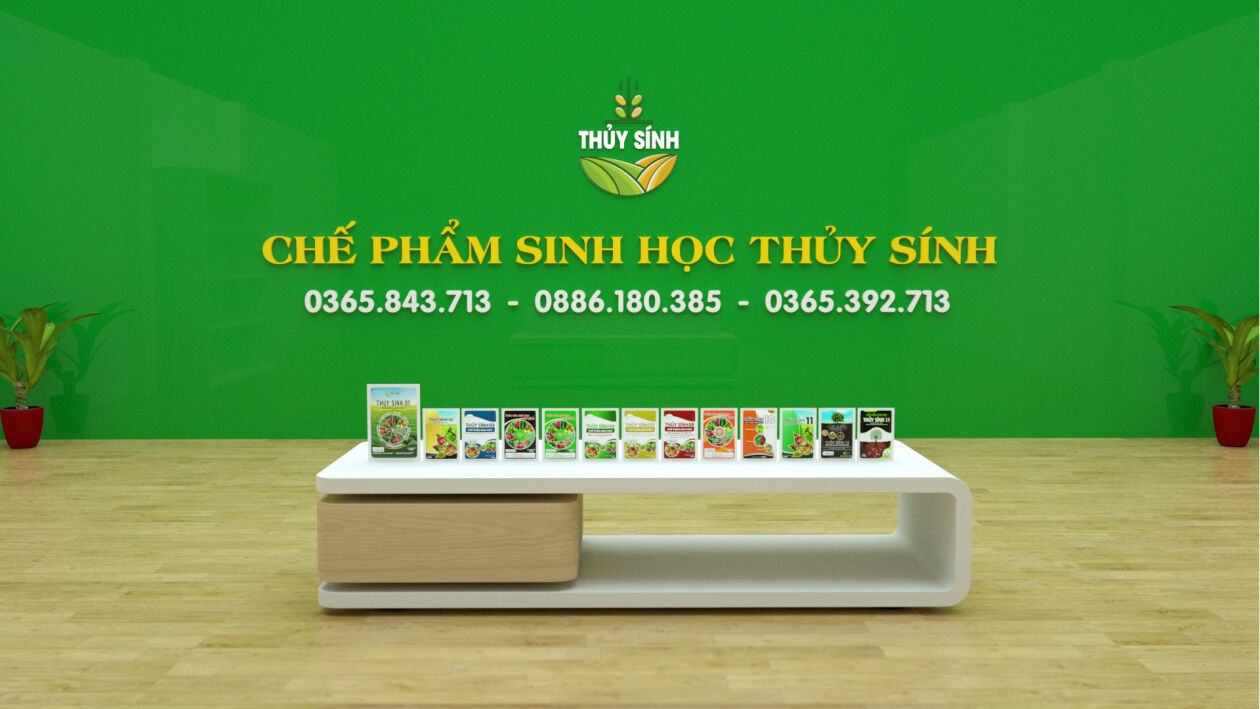 Cover image for Thủy Sính