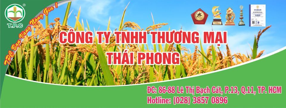 Cover image for Công ty Thái Phong