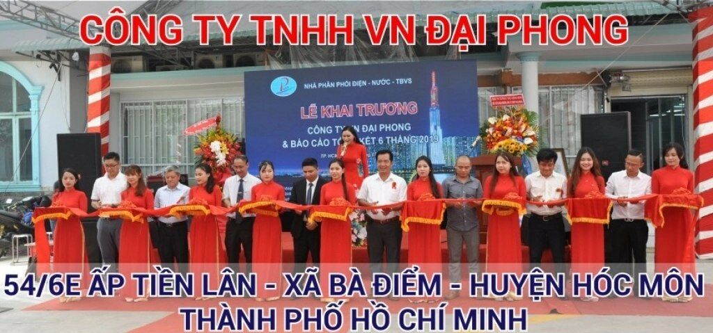 Cover image for VN ĐẠI PHONG