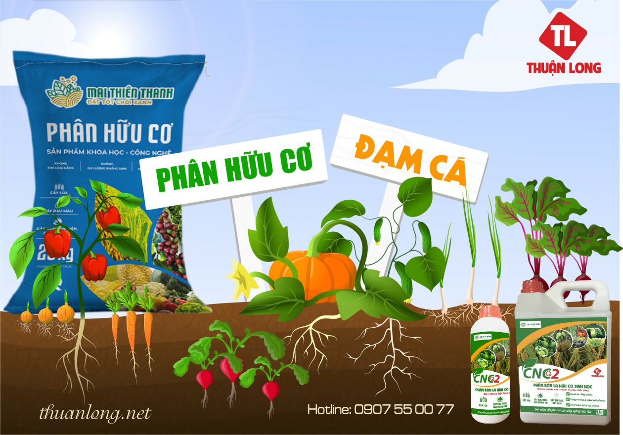 Cover image for Vpp Thuận Long