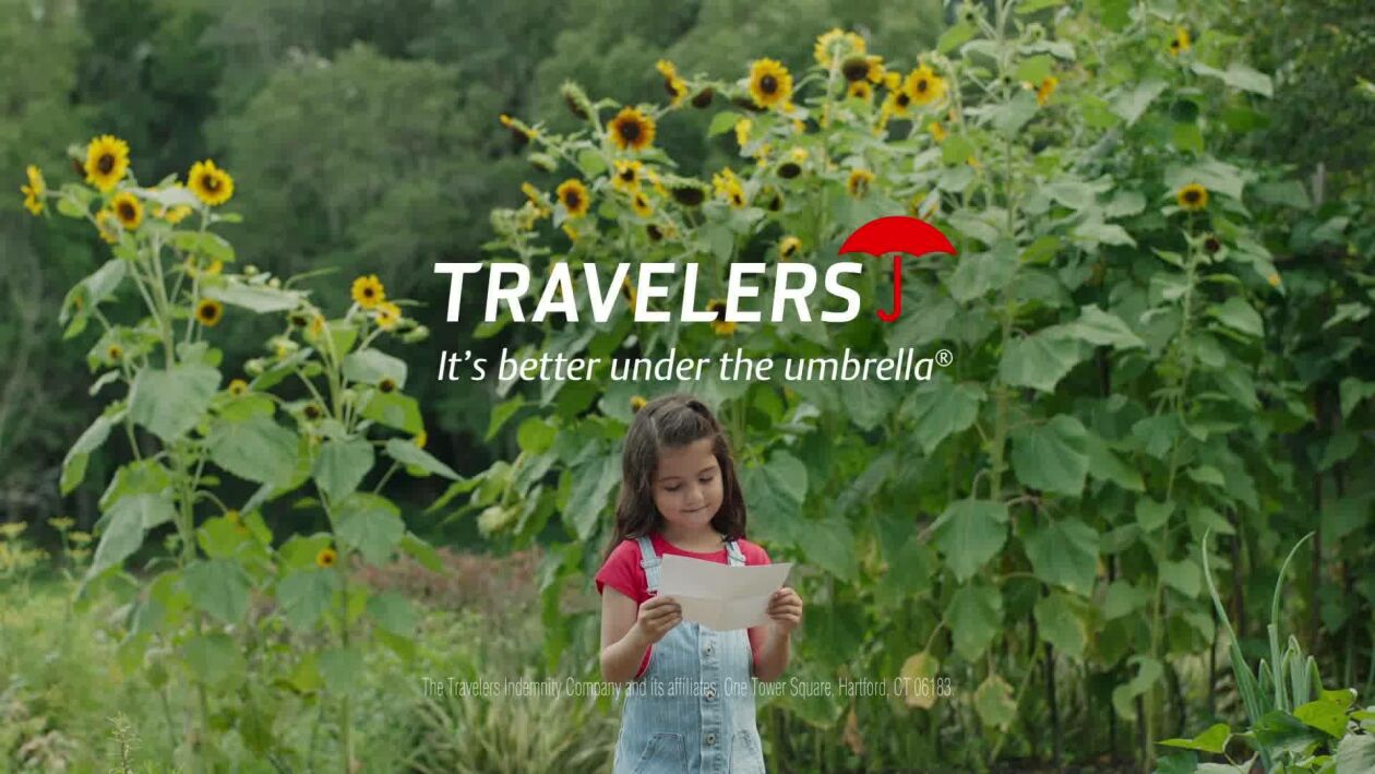 Cover image for Travelers