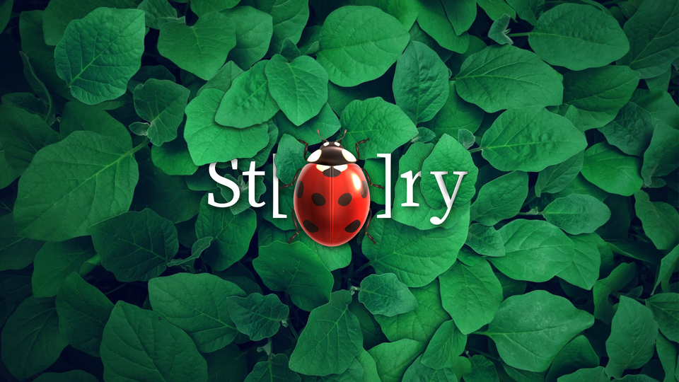 Cover image for CÔNG TY TNHH TƯ VẤN THIẾT KẾ PHẦN MỀM CÁNH CAM