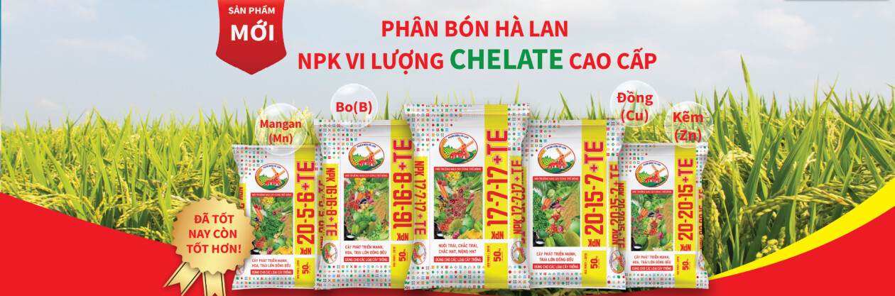 Cover image for PHÂN BÓN HÀ LAN