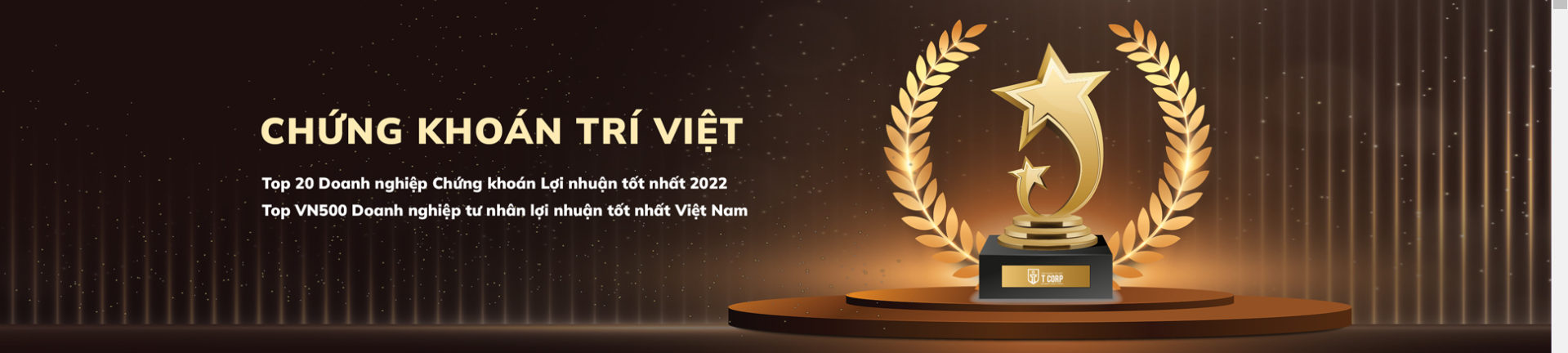 Cover image for Chứng khoán Trí Việt