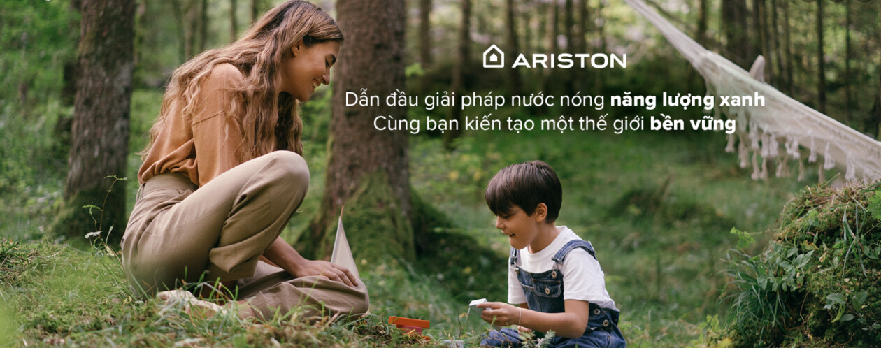 Cover image for Ariston Group