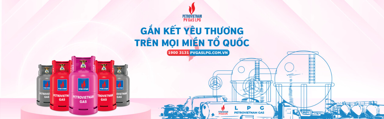 Cover image for Công ty Phân phối Khí Thấp áp Dầu Khí Việt Nam - PV GAS D