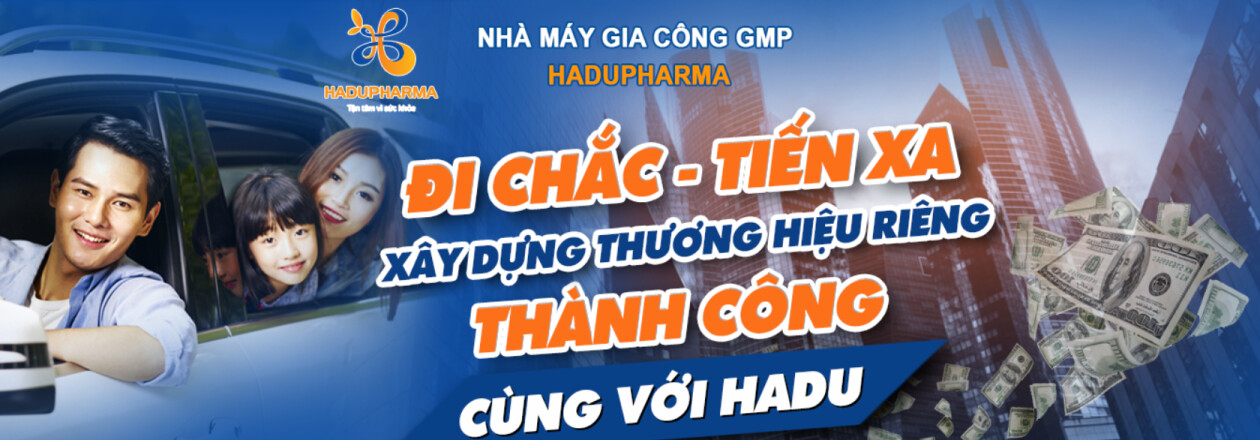 Cover image for HADU VIỆT NAM