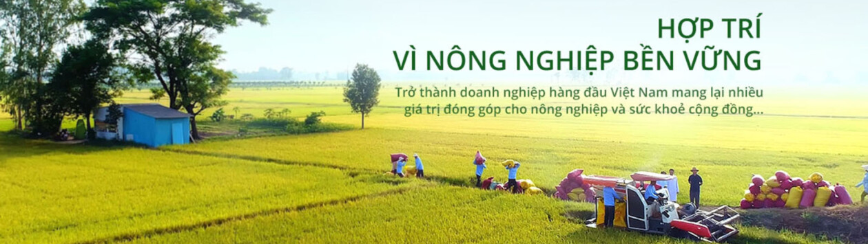 Cover image for Công ty Hợp Trí