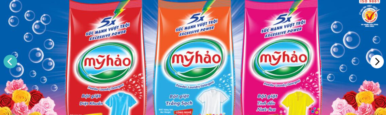 Cover image for CÔNG TY CỔ PHẦN MỸ HẢO