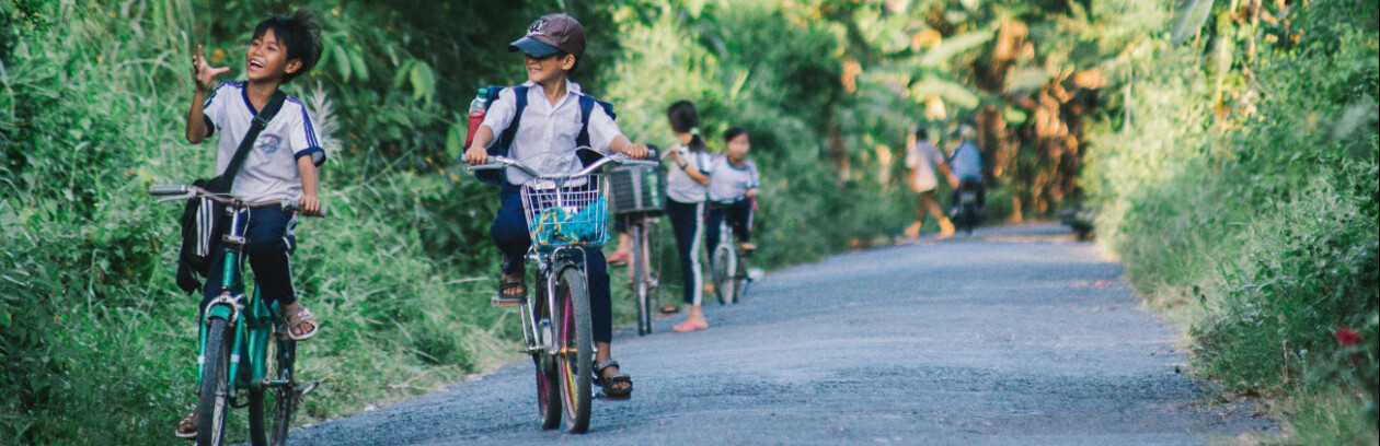 Cover image for VIỆN NGHIÊN CỨU PHÁT TRIỂN MEKONG