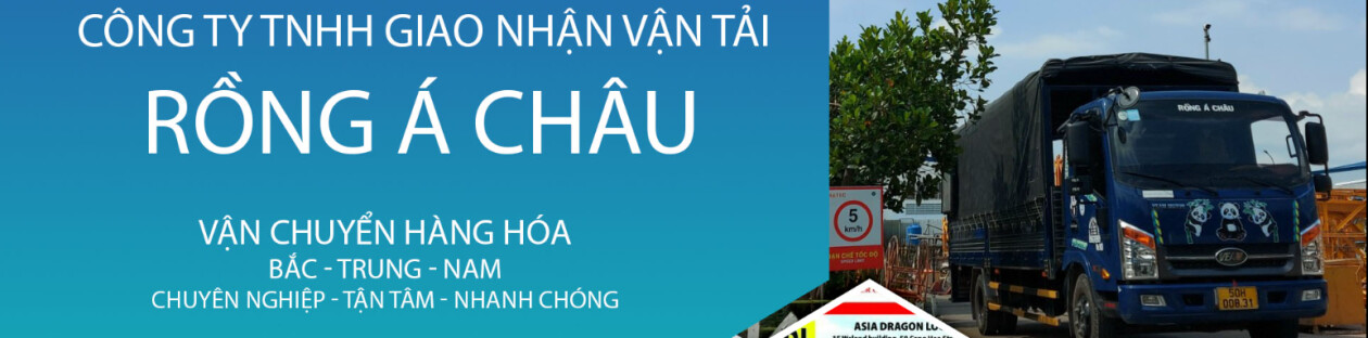 Cover image for RỒNG Á CHÂU