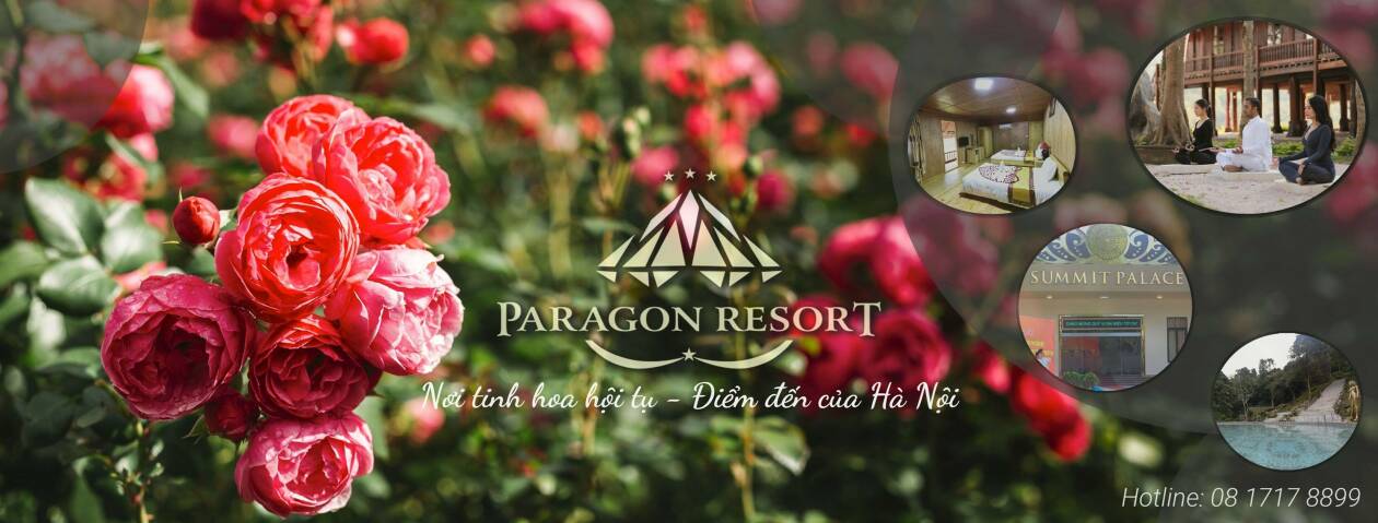 Cover image for Paragon Resort