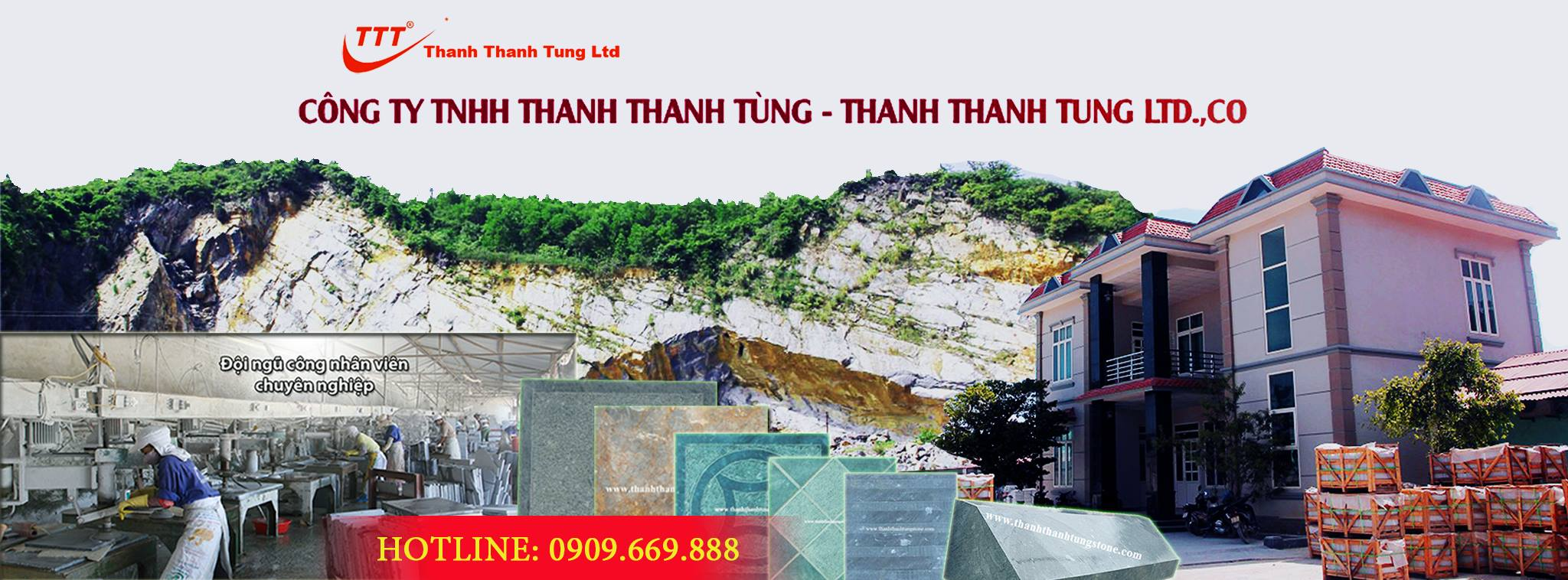 Cover image for Thanh Thanh Tùng