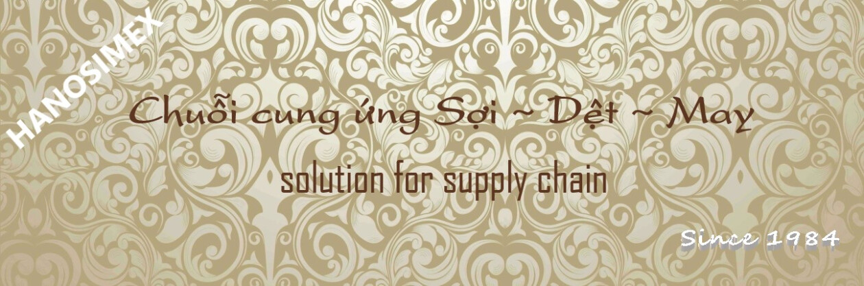 Cover image for Dệt May Hà Nội (Hanosimex)