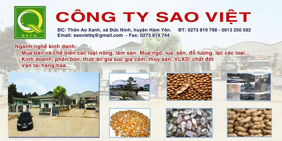 Cover image for Sao Việt Tuyên Quang