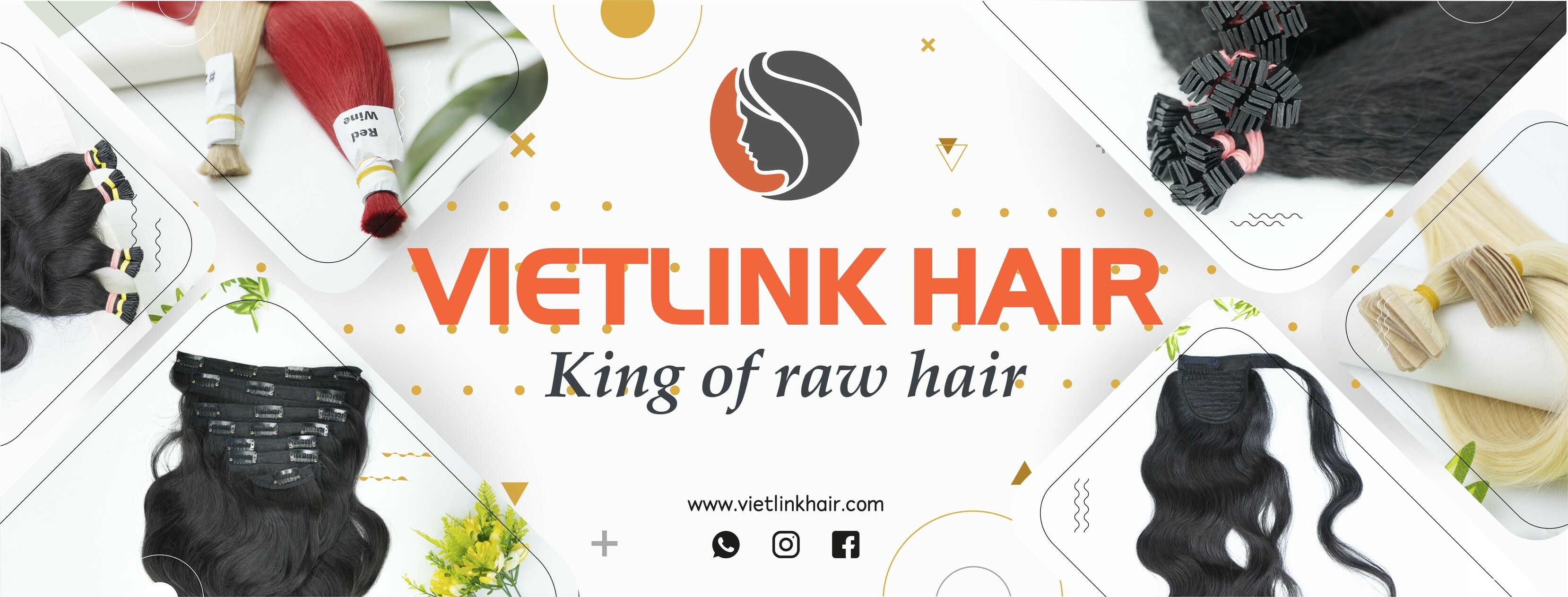 Cover image for Vietlink Hair