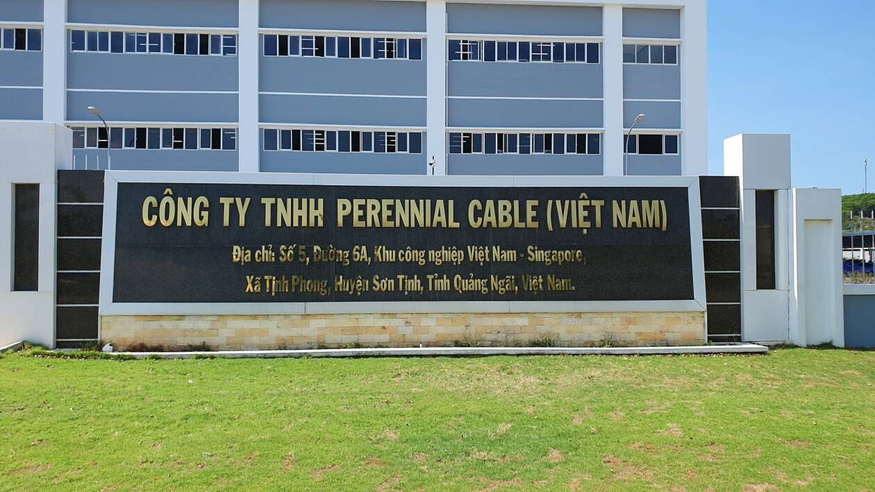 Cover image for Perennial Cable (Việt Nam)