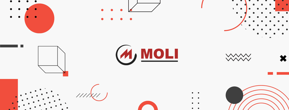 Cover image for Moli Group