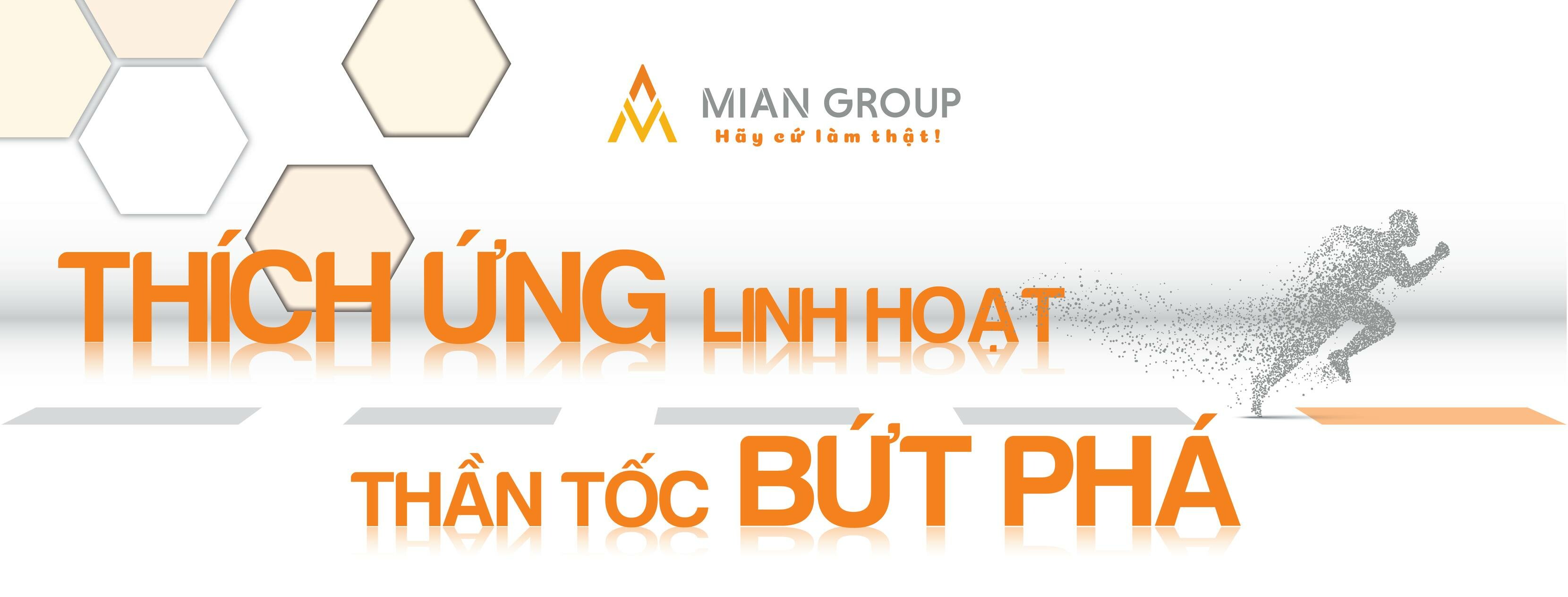 Cover image for Tập Đoàn Minh Anh - MIAN GROUP