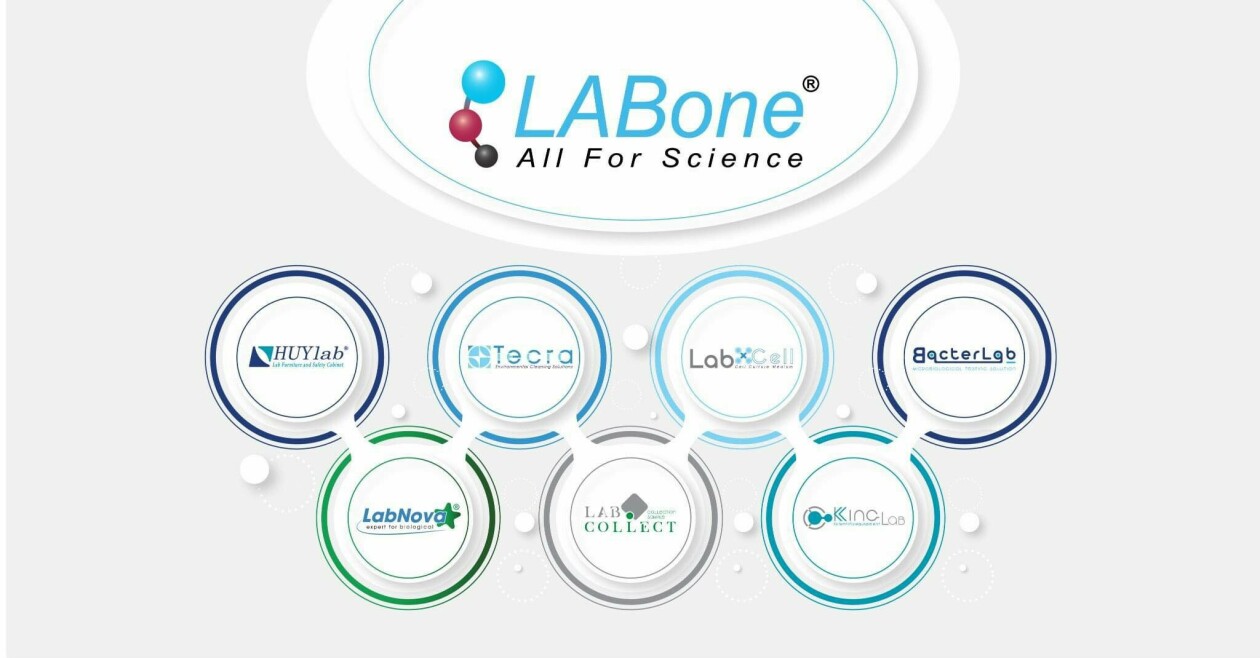 Cover image for Labone