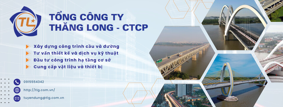 Cover image for Thăng Long CTCP