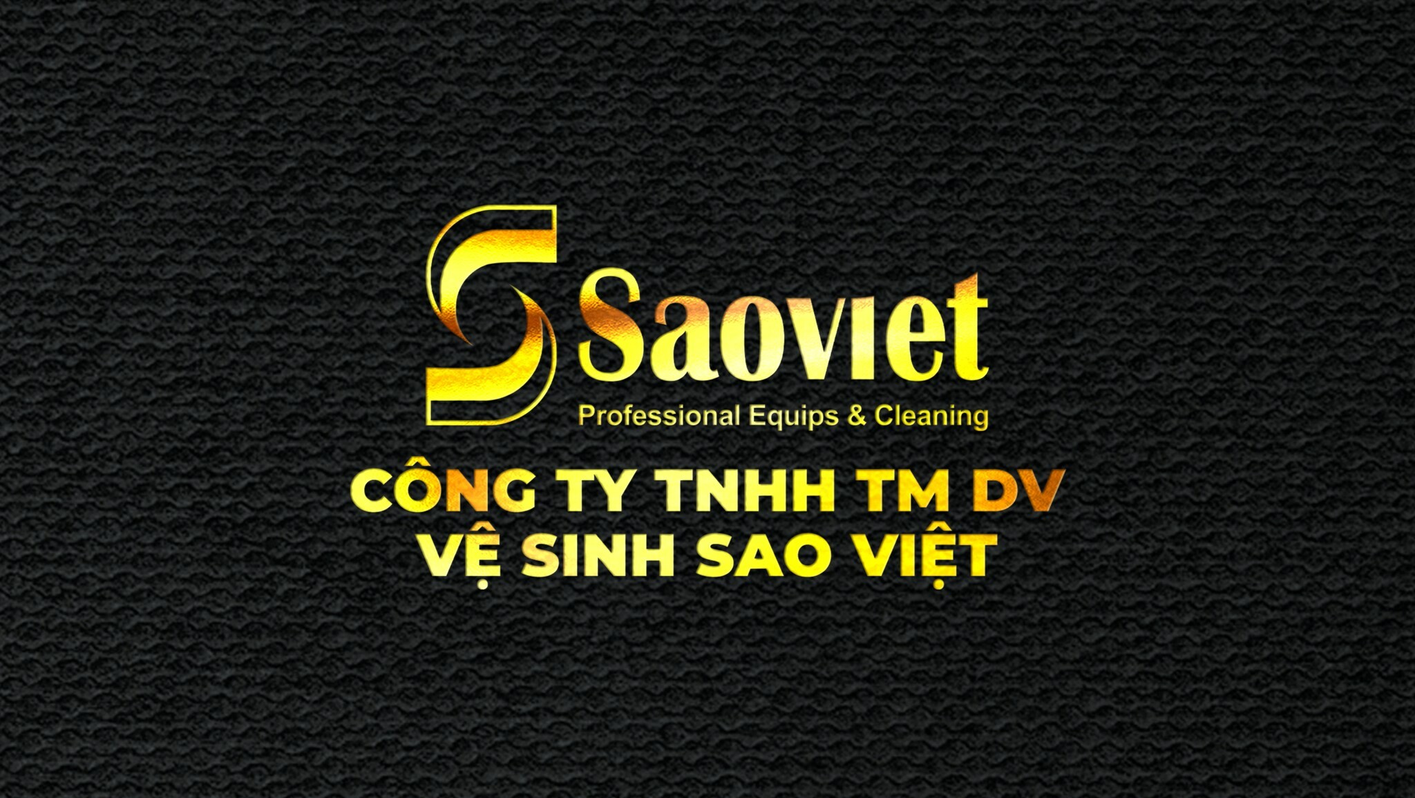 Cover image for Sao Việt