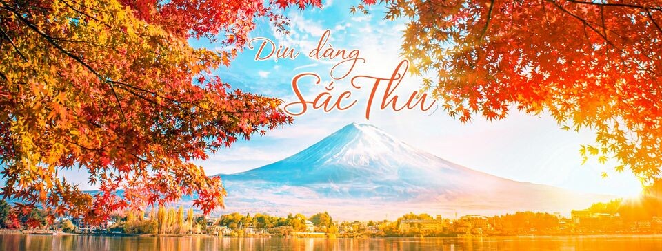 Cover image for TransViet Group