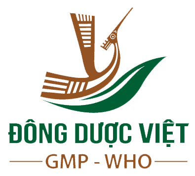 Cover image for Thuận Đông