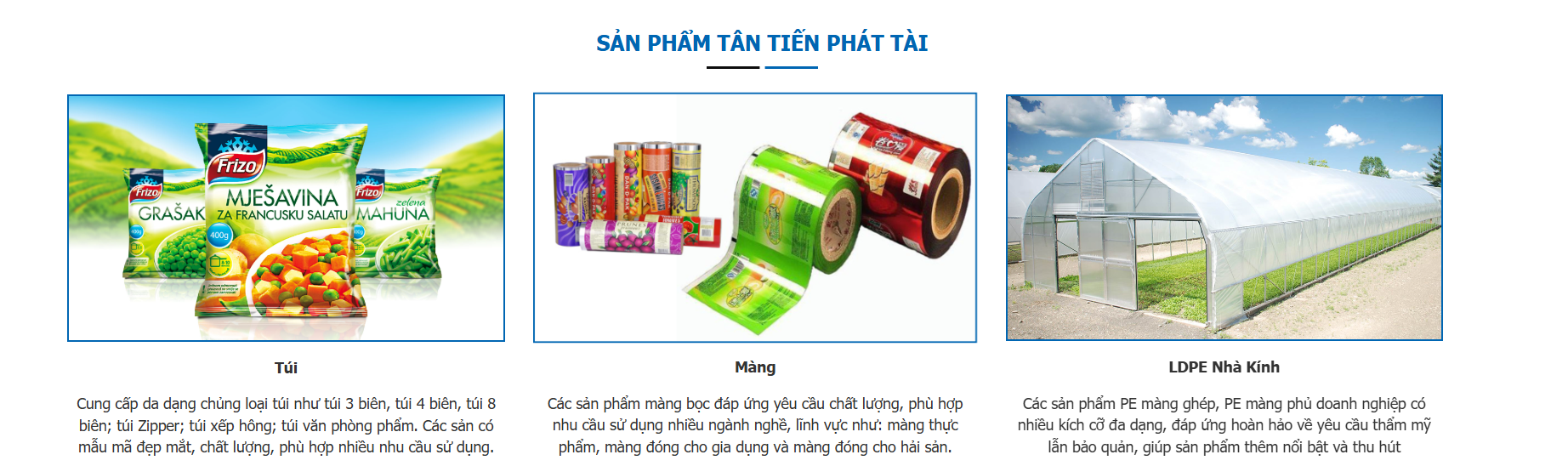 Cover image for BAO BÌ TÂN TIẾN PHÁT TÀI