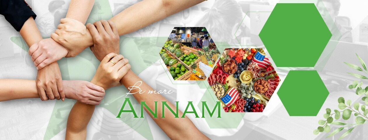 Cover image for ANNAM GROUP