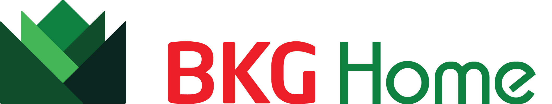 Cover image for BKG HOME