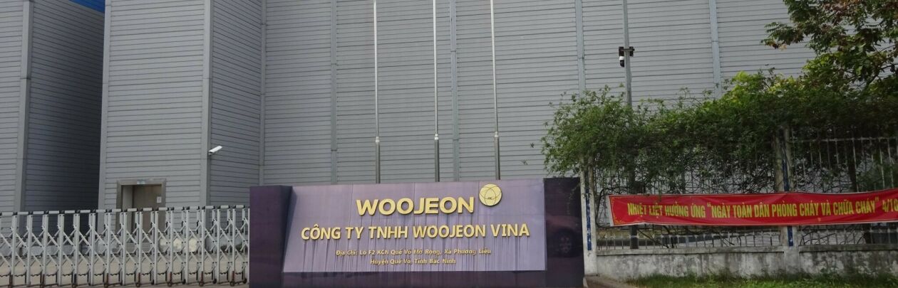 Cover image for WOOJEON VINA