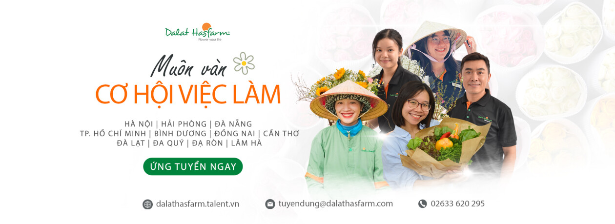 Cover image for Dalat Hasfarm