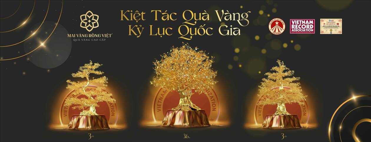 Cover image for MAI VÀNG RỒNG VIỆT