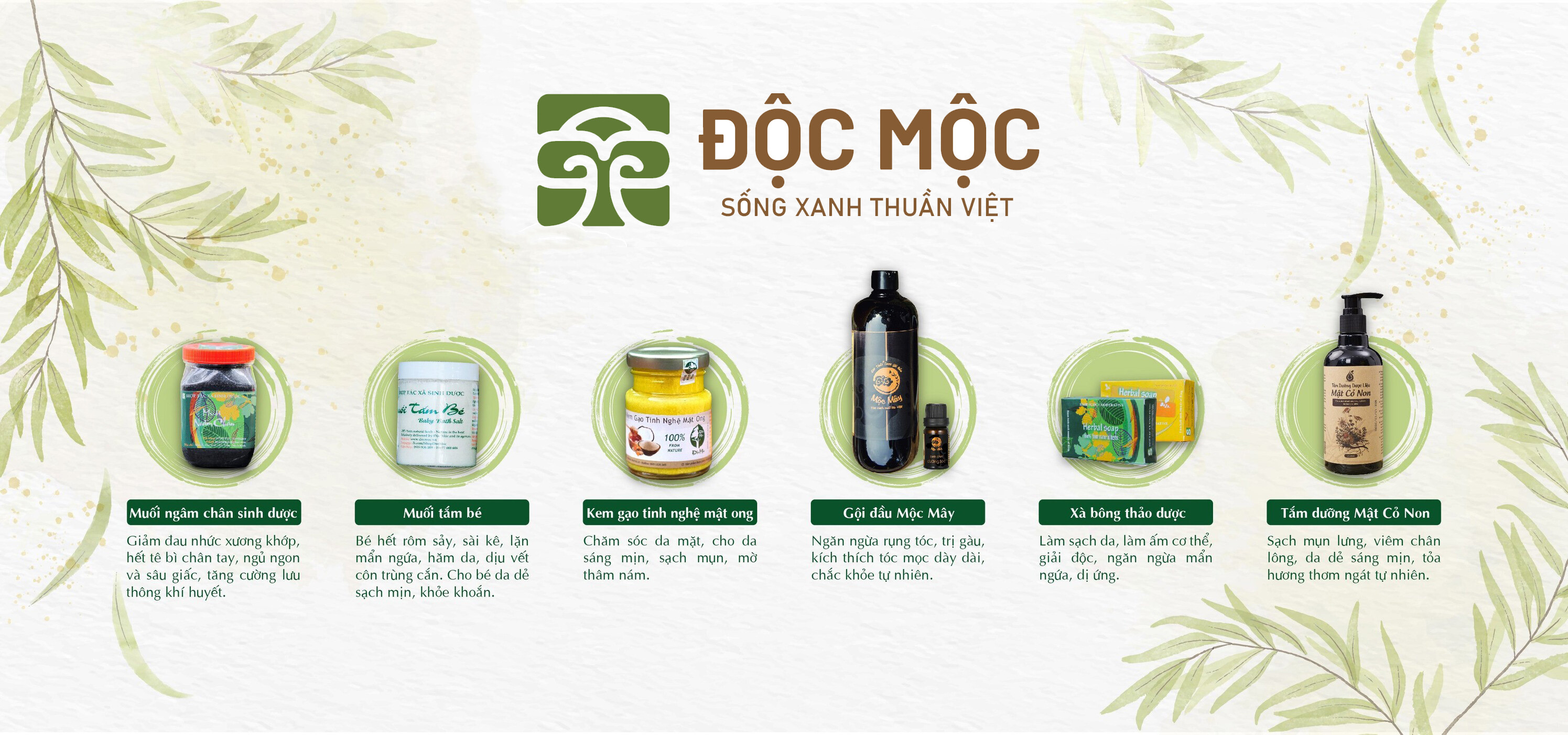 Cover image for Độc Mộc Nature