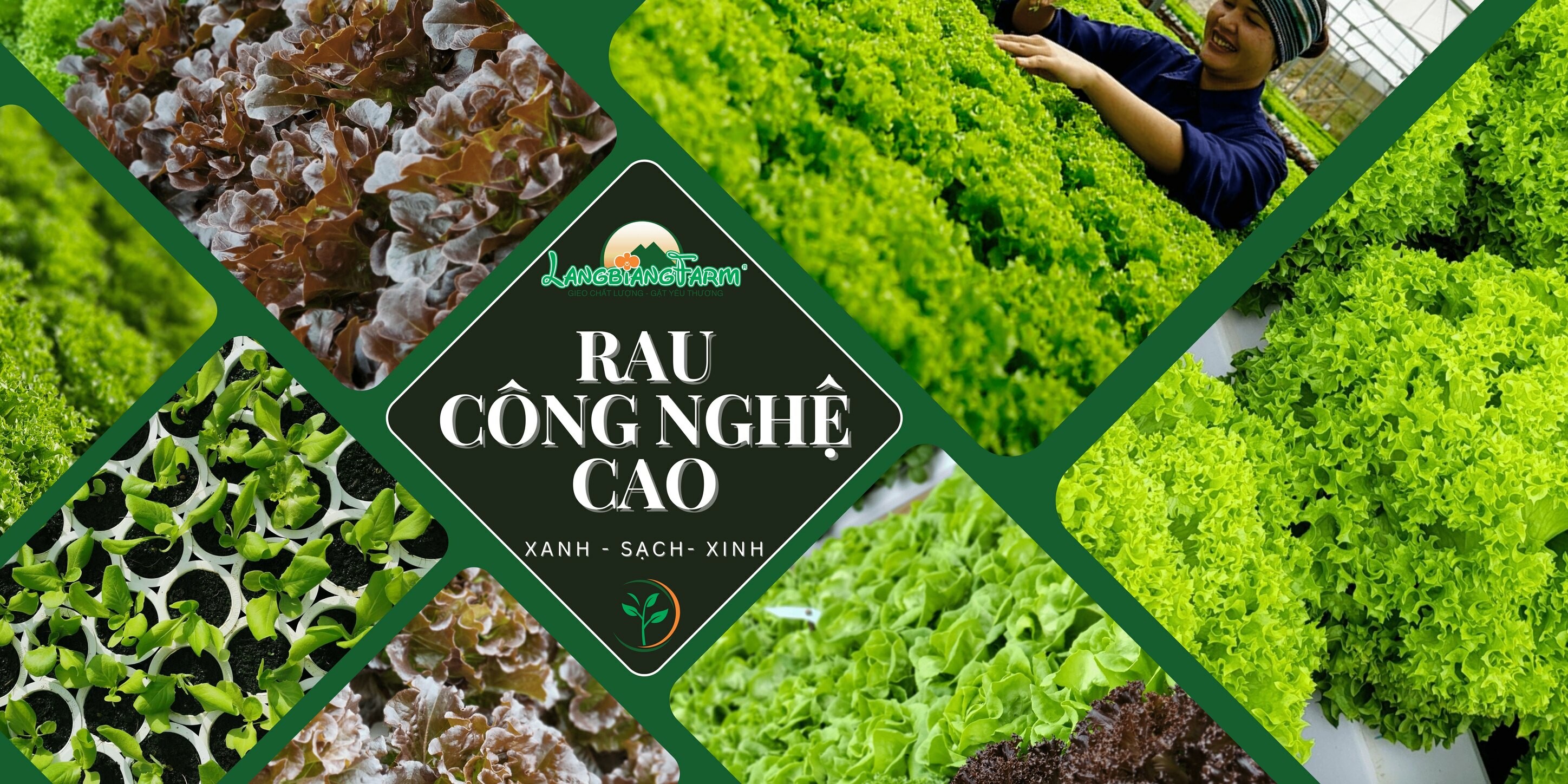 Cover image for Trang Trại Langbiang