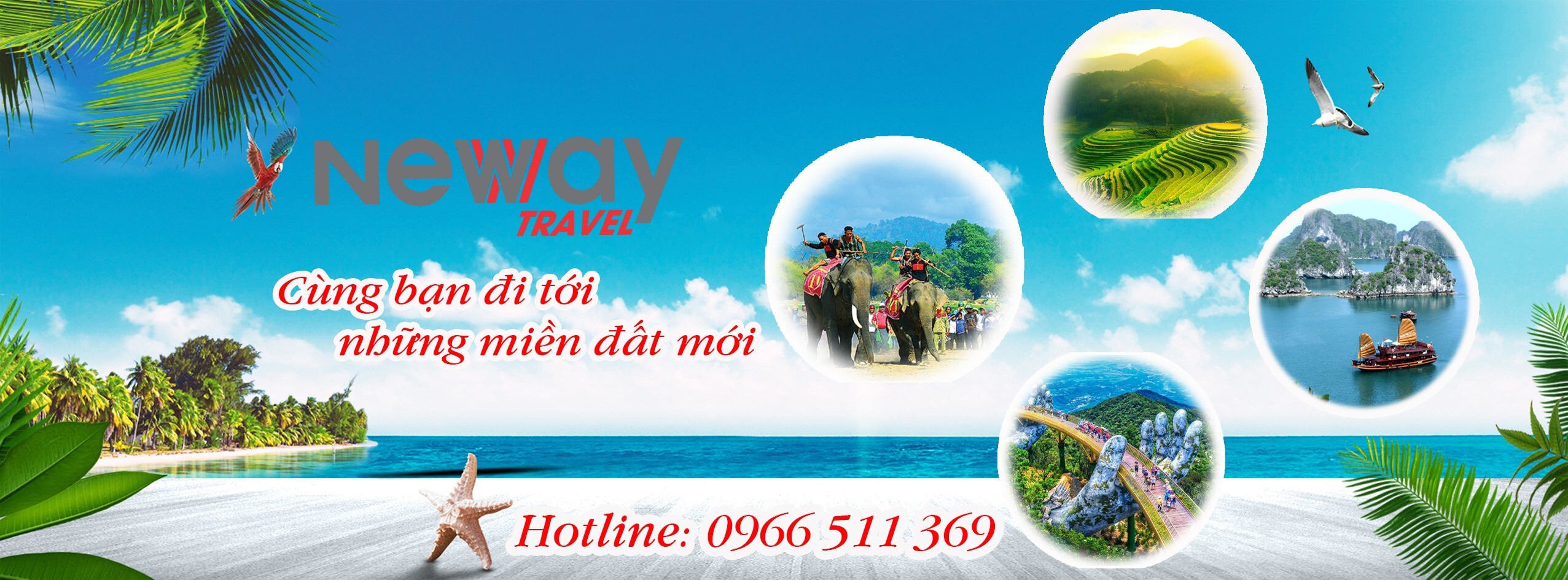 Cover image for THƯƠNG MẠI VÀ LỮ HÀNH QUỐC TẾ NEWWAY