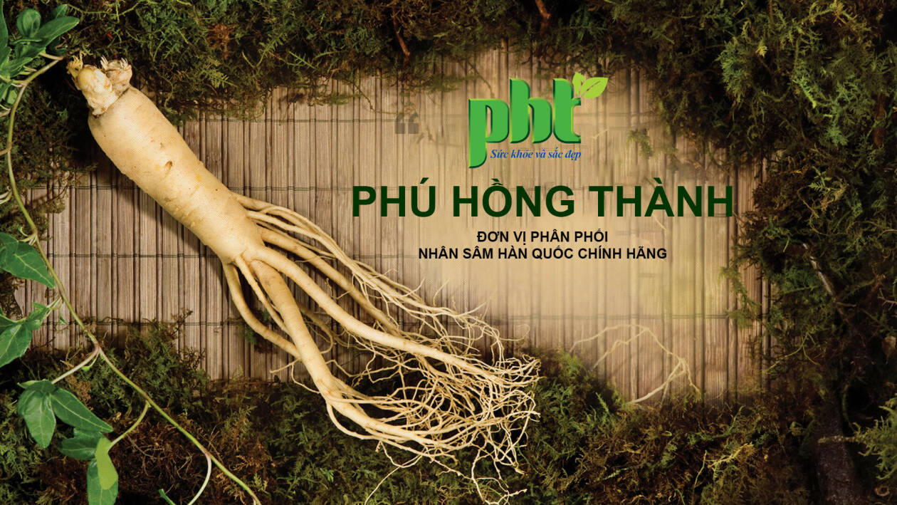 Cover image for Phú Hồng Thành