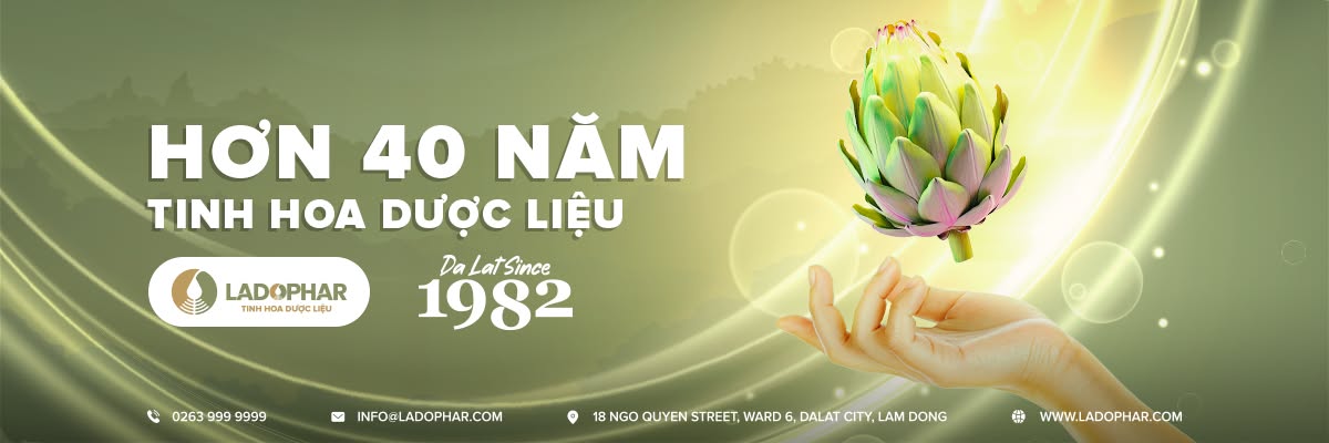 Cover image for DƯỢC LÂM ĐỒNG (LADOPHAR)