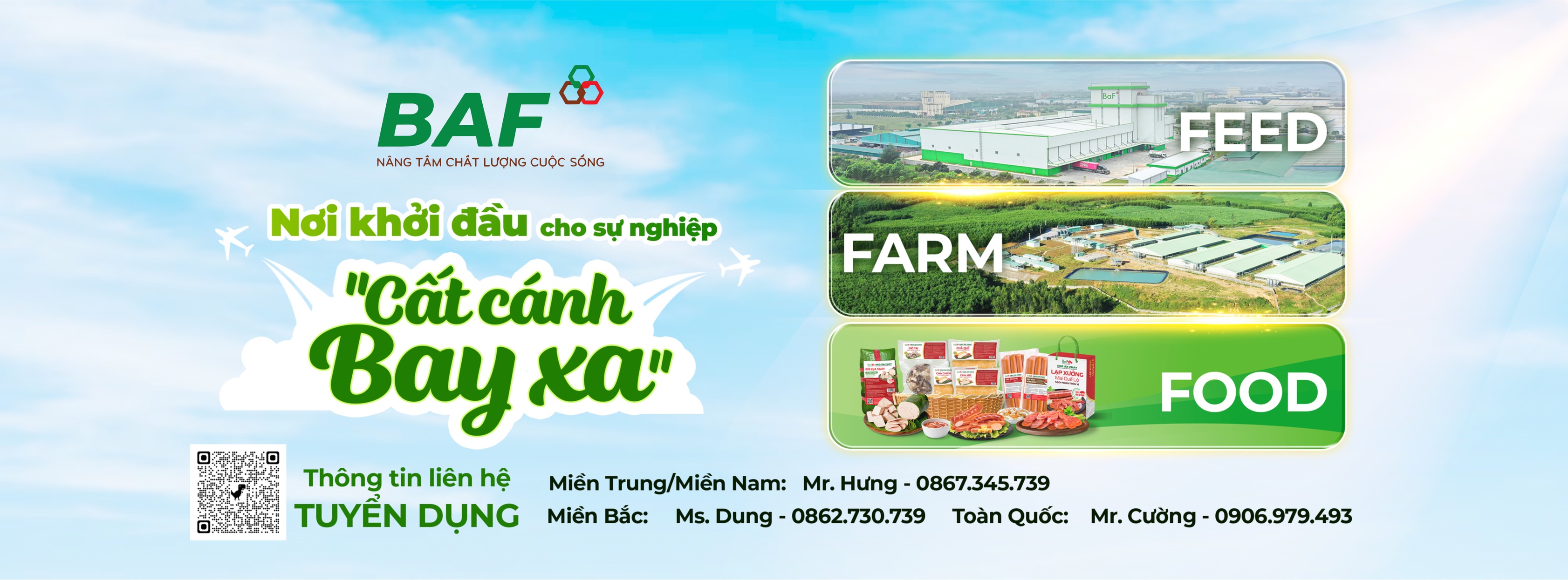 Cover image for BaF VIỆT NAM