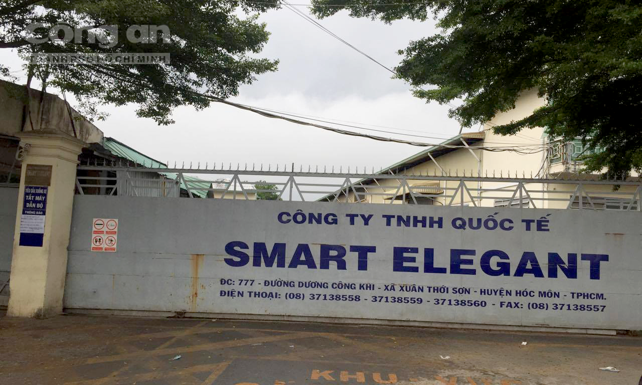 Cover image for Công ty quốc tế Smart Elegant