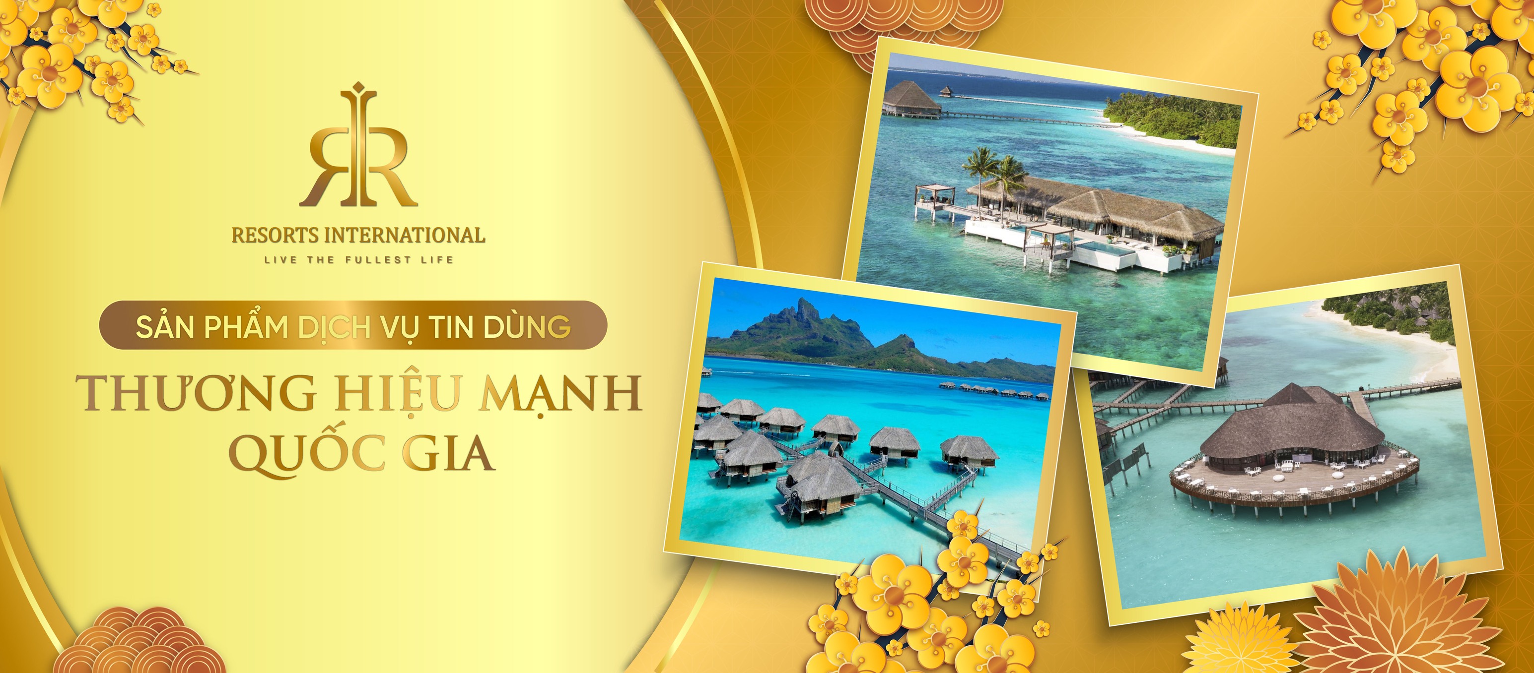 Cover image for RESORTS INTERNATIONAL VIETNAM