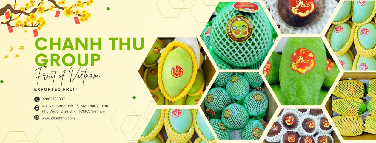 Cover image for Chánh Thu Group