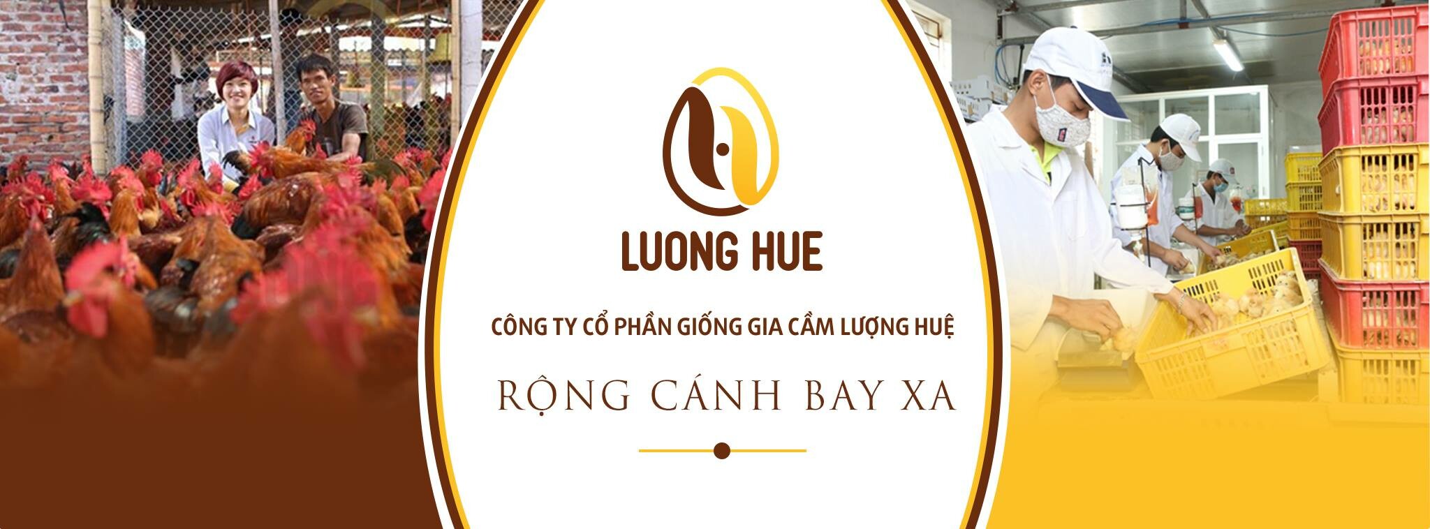 Cover image for Giống Gia Cầm Lượng Huệ