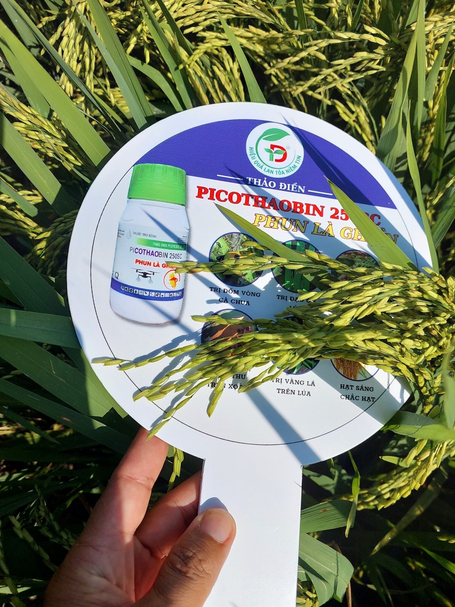 Cover image for Bảo Vệ Thực Vật Thảo Điền