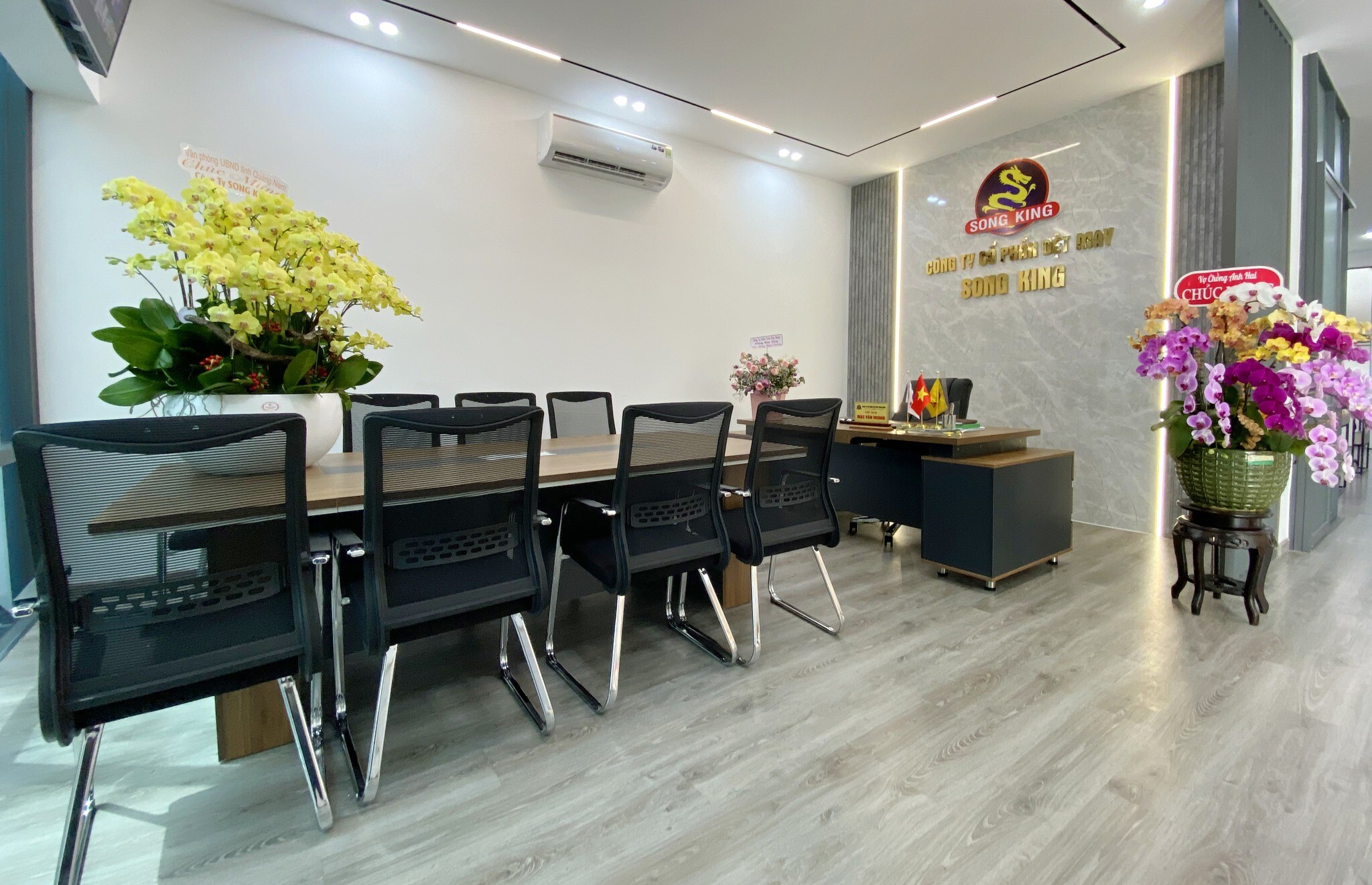 Cover image for Sản xuất Thương mại Song King