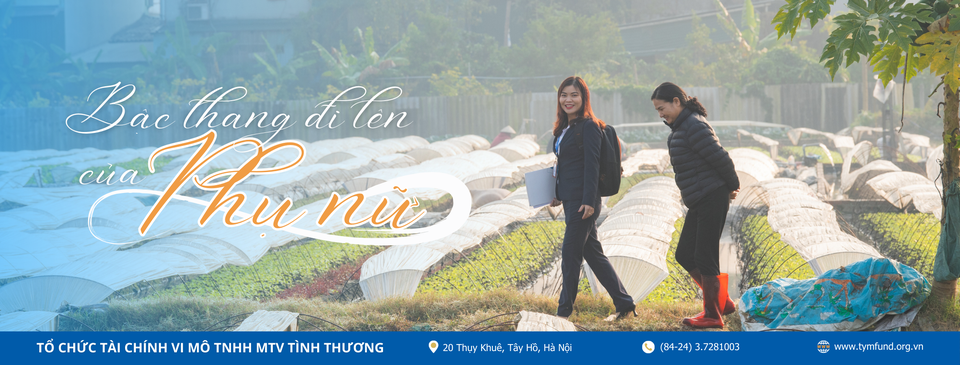 Cover image for Tổ chức Tài chính vi mô TNHH Một thành viên Tình Thương