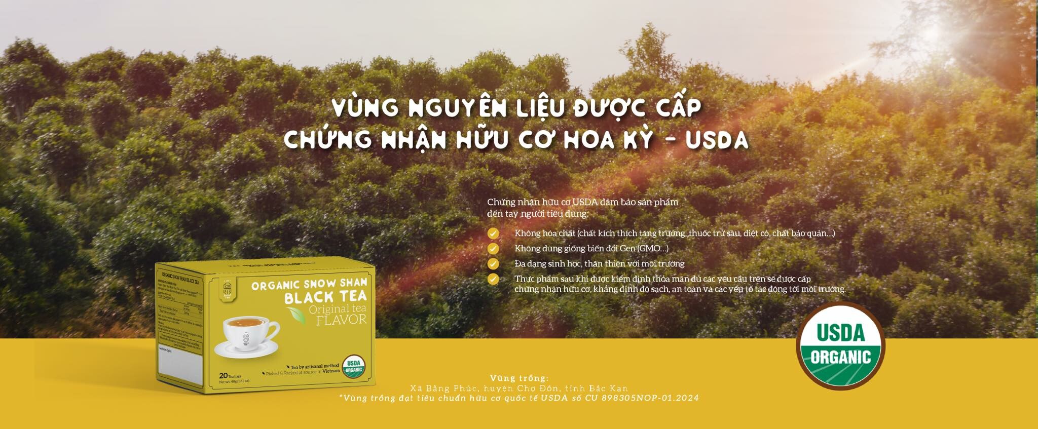 Cover image for TRÀ SACHS TEA