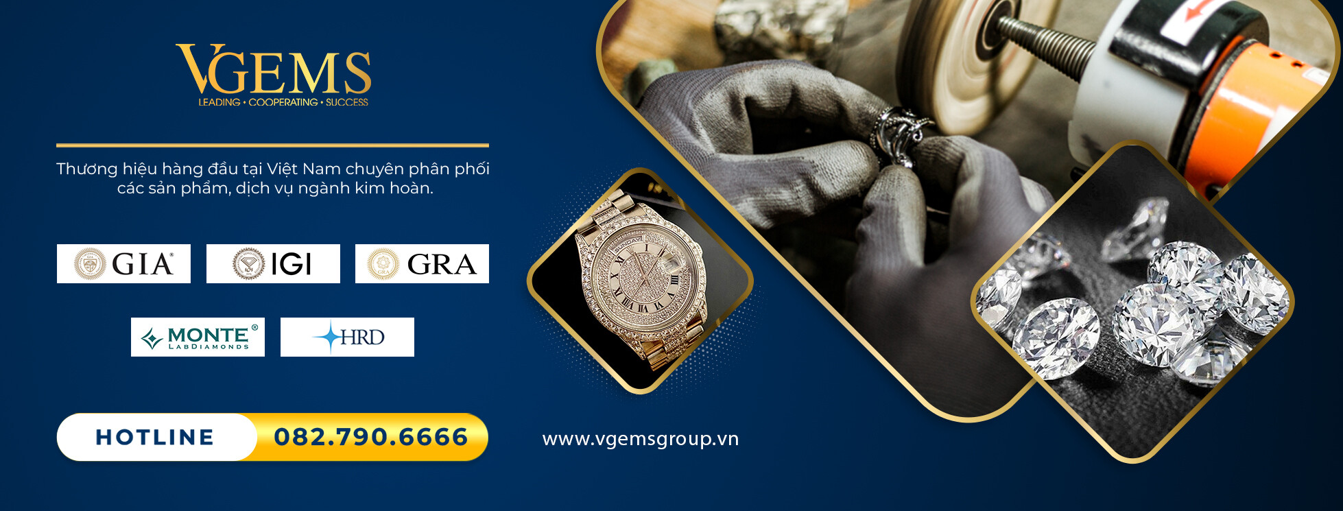 Cover image for VGEMS GLOBAL JEWELRY