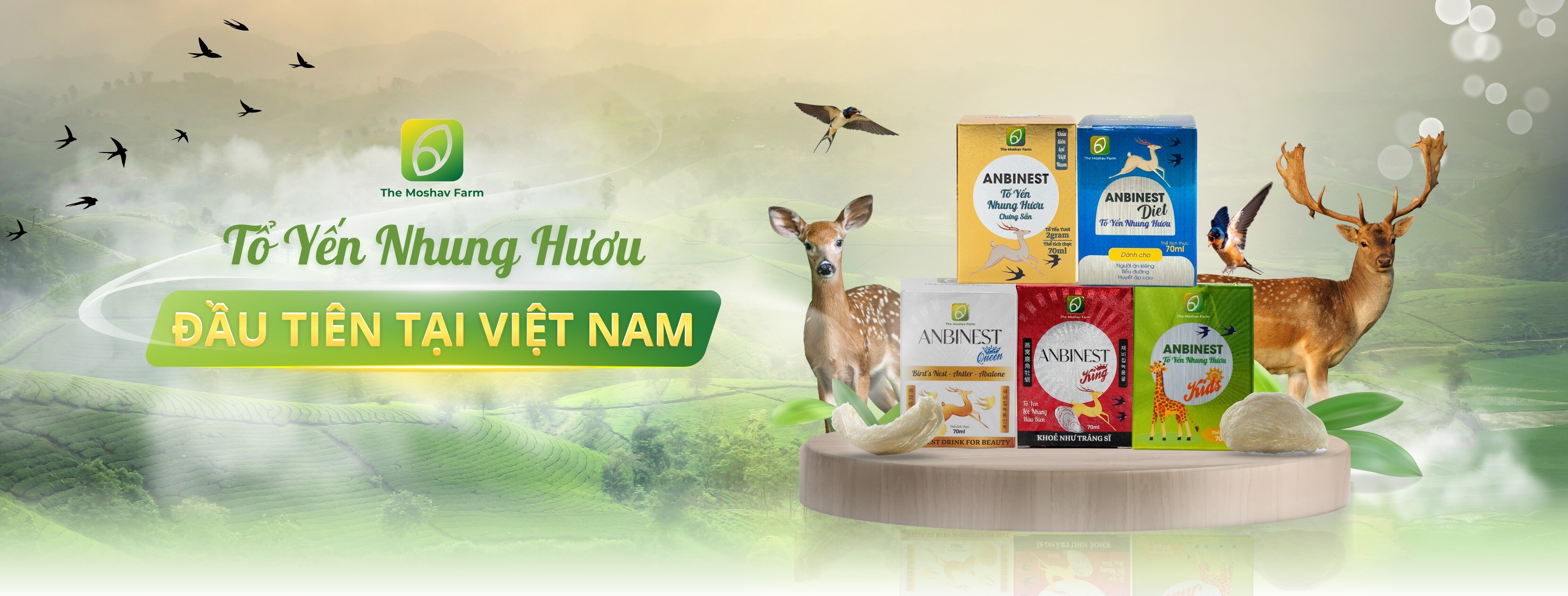 Cover image for NÔNG NGHIỆP THE MOSHAV FARM